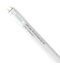 Noxion LED Röhre T8 Avant Extreme (HF) High Output 20W 3100lm - 865 Tageslichtweiß | 150cm - Ersatz für 58W
