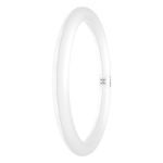 Osram Tube LED T9 Circulaire (EM/Direct 230V) 18.3W 2200lm - 865 Lumière Du Jour | Équivalent 32W