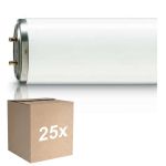 Lot 25x Philips TL-DK 36W - Blacklight | 60cm - Insectkiller