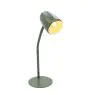 Eglo Lampe De Chevet Carlo Acier Vert | Convient pour 1x E14