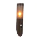 Eglo Applique Murale Helsinki Acier Inoxydable Brun | IP55 - Convient pour 1x E27 - Détecteur De Mouvement